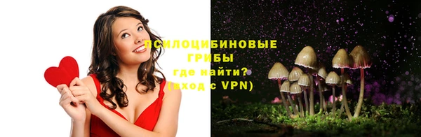 сатива Киреевск