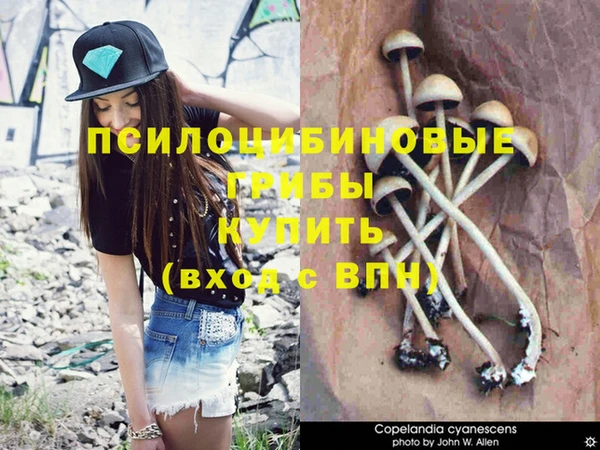 сатива Киреевск