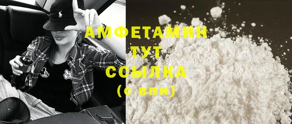 молекула духа Козловка