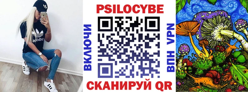 Купить закладки  Дубна  Псилоцибиновые грибы MAGIC MUSHROOMS 